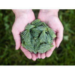 Aerodynamic Cotton Shoes fr-FR